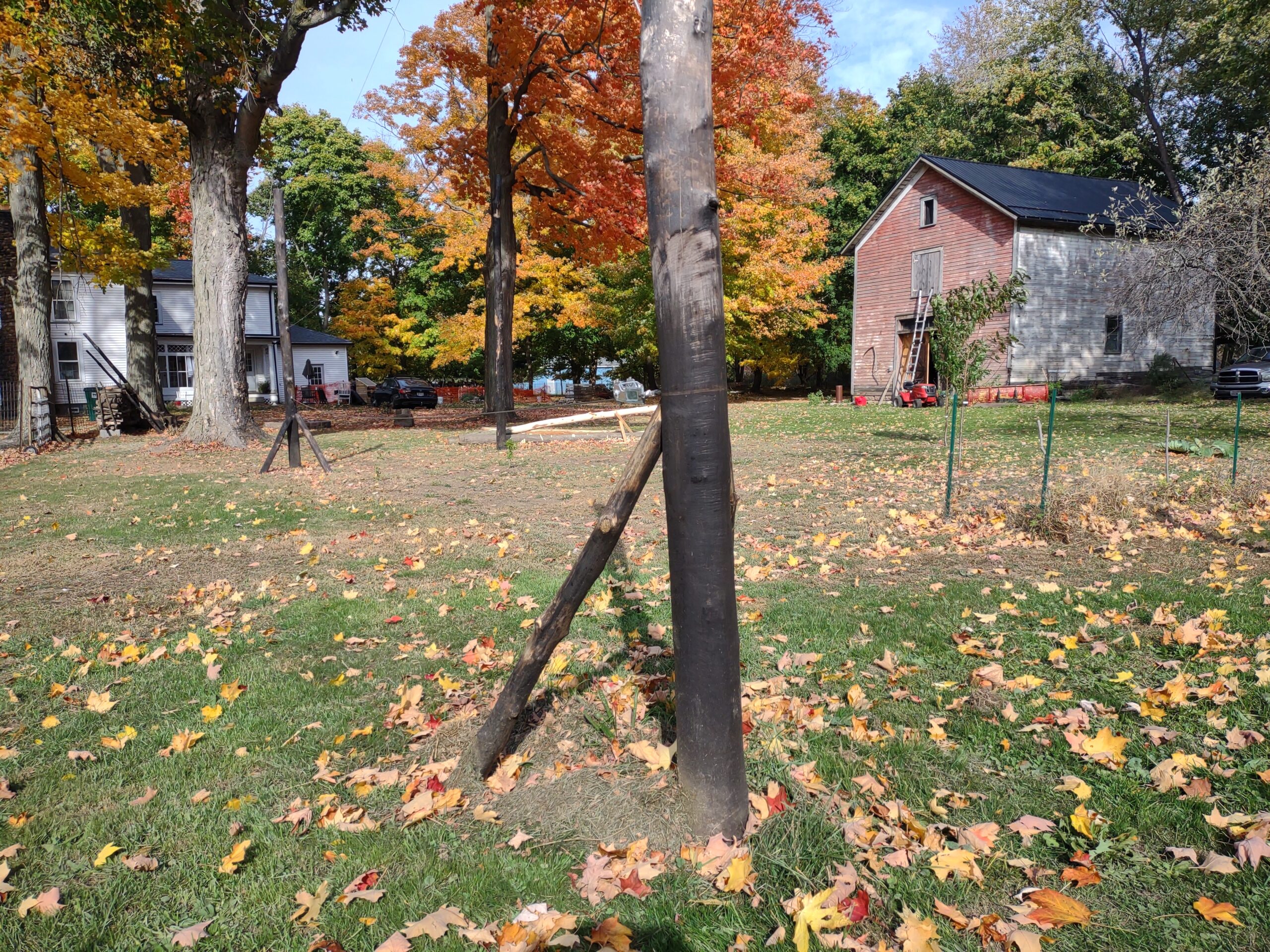 Building the Orchard Trellis System